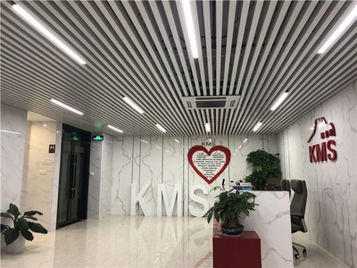 凱美斯脂肪刀 專業(yè)祛斑，放心塑造美麗